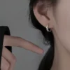 S925 Paved Zircon Small Hoop Earrings
