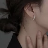 S925 Paved Zircon Small Hoop Earrings