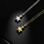 S925 Silver Matte Star Zircon Minimalist Women Necklace