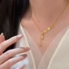 S925 Gourd Fortune Coin Cubic Zirconia Necklace