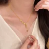S925 Gourd Fortune Coin Cubic Zirconia Necklace
